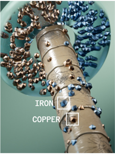 Supercharged Metal Purifier capturing iron and copper